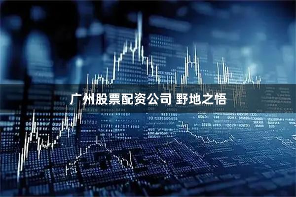 广州股票配资公司 野地之悟