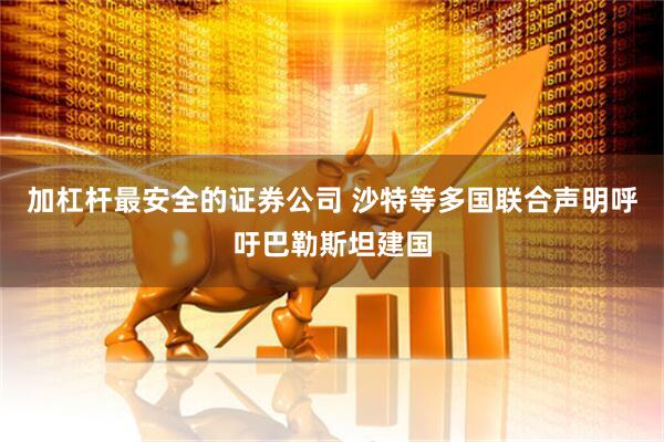 加杠杆最安全的证券公司 沙特等多国联合声明呼吁巴勒斯坦建国