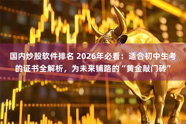 国内炒股软件排名 2026年必看:适合初中生考的证书全解析,为未来铺路的“黄金敲门砖”